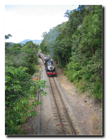 04 Regenwald Express